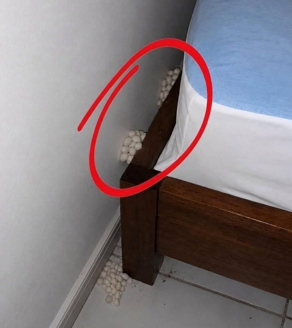 I arrived home exhausted, hoping for a quiet night, but one detail made me realize that something was wrong. 748330354_1356880896640522_5872350004111408625_n